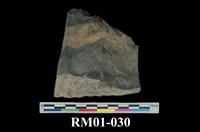 藏品(粘板岩)的圖片